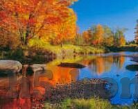 麻豆传媒主播-揭秘麻豆传媒主播，光影背后的真实与梦想
