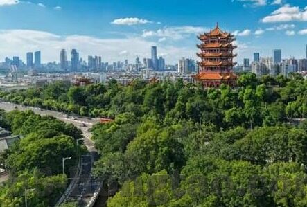 深圳市大象影视传媒-深圳市大象影视传媒，创新与传承的影视新势力