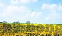 视频一区二区三区-探索网络视频分区的多元化内容与影响