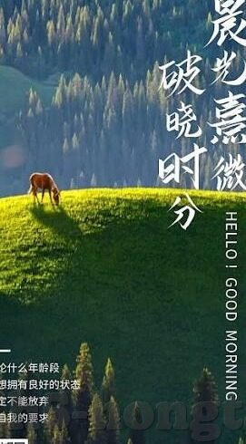 糖心出品app-糖心出品——生活与艺术的完美融合