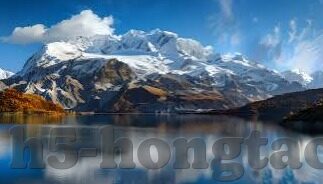 糖心vlog官网入口国产-糖心Vlog - 国产内容平台的魅力探索